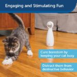 PetSafe Bolt - Laser Pointer Cat Toy - Image 3
