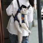 Pet Cat Carrier Pets Travel Bag - Image 2