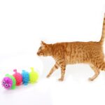 6pcs Soft Rubber Pet Toys - Image 4