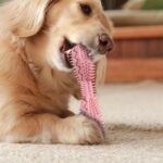 2pcs Pet Teeth Cleaning Toy - Image 2