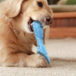 2pcs Pet Teeth Cleaning Toy - Image 3