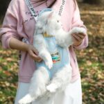 Pet Cat Carrier Pets Travel Bag - Image 4
