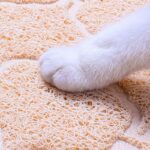 4pcs Waterproof Multicolor Pet Mat - Image 6