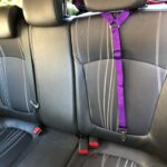 Car Seat Belt for Pets - Image 2