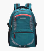 Large Laptop Backpack
